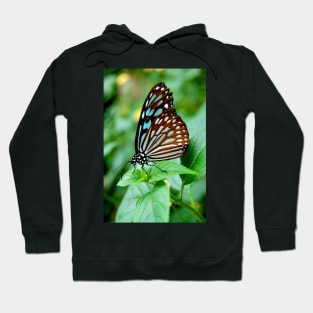 Black and Blue Butterfly Hoodie